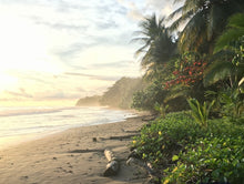 Load image into Gallery viewer, “Goddess of Gaia” Blue Earth Star Chakra Meta Healing Retreat to Costa Rica Nicoya peninsula & more