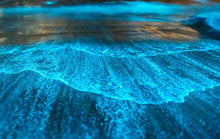 Load image into Gallery viewer, “Goddess of Gaia” Blue Earth Star Chakra Meta Healing Retreat to Costa Rica Nicoya peninsula & more