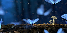 Load image into Gallery viewer, “Goddess of Gaia” Blue Earth Star Chakra Meta Healing Retreat to Costa Rica Nicoya peninsula & more