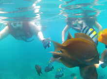 Load image into Gallery viewer, “Blissed & Blessed” a retreat to Bali - A Heaven on Earth experience for Planetary Third eye Chakra Meta