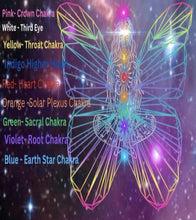 Load image into Gallery viewer, Rooted Remembrance~ Root Chakra Metamorphosis Healing Retreat to Hawaii
