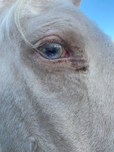 Load image into Gallery viewer, Sedona “Universe Within” Retreat : Higher Heart Chakra Metamorphosis